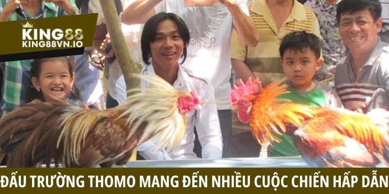 Coi đá gà Thomo - Khám phá trường đấu hấp dẫn tại Campuchia
