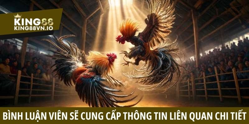 Đá gà bình luận - Nâng tầm trải nghiệm, bùng nổ cảm xúc