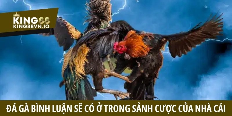Đá gà bình luận - Nâng tầm trải nghiệm, bùng nổ cảm xúc