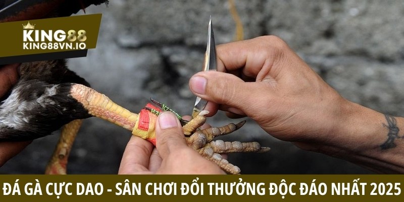 Đá Gà King88 - Tận Hưởng Những Cuộc Đối Đầu Căng Thẳng