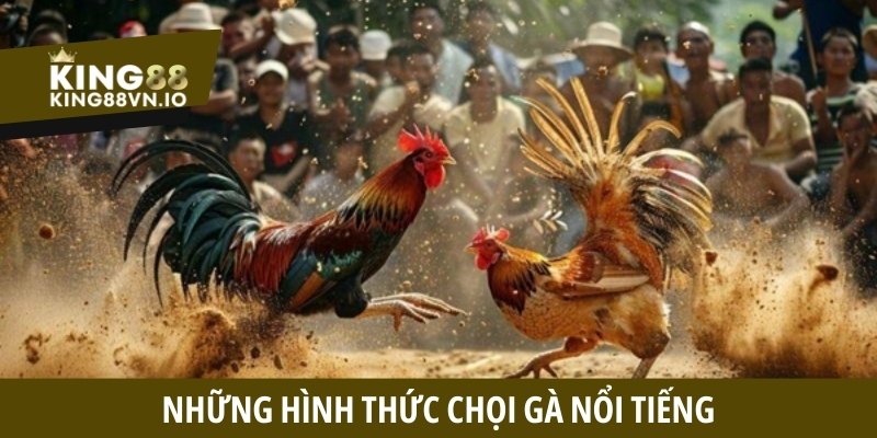 Đá Gà King88 - Tận Hưởng Những Cuộc Đối Đầu Căng Thẳng