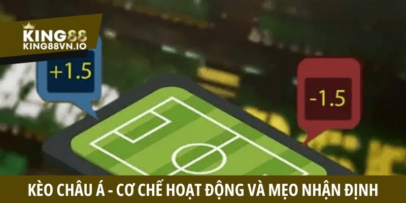 Thể Thao King88 - Chuyên Mục Cung Cấp Hệ Thống Kèo Uy Tín