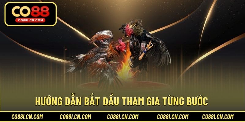 Chơi Cá Cược Đá Gà - Bí Quyết Thắng Lớn Dễ Dàng Tại CO88