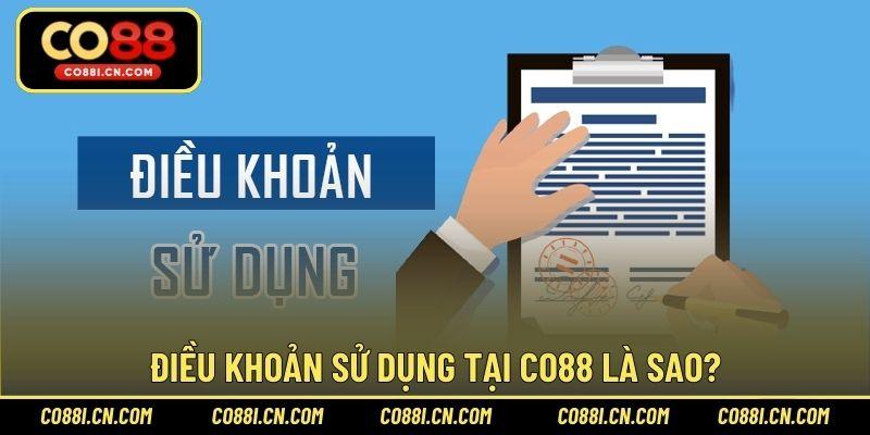 Điều Khoản Sử Dụng – Thông Tin Bet Thủ Cá Cược Cần Biết