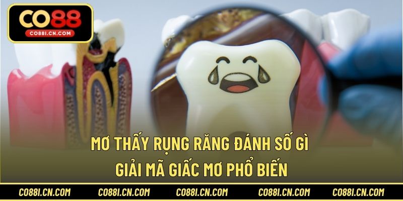 Baccarat CO88 – Tựa Game Thú Vị Và Có Tỷ Lệ Thắng Cao