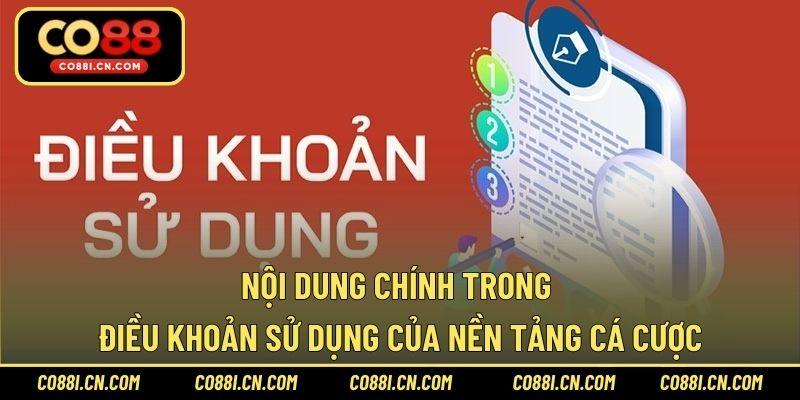 Điều Khoản Sử Dụng – Thông Tin Bet Thủ Cá Cược Cần Biết