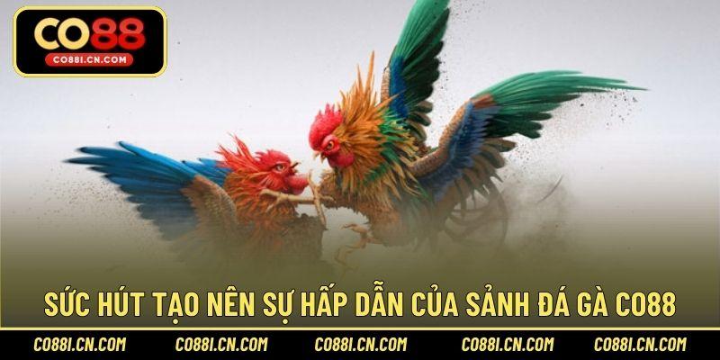 Đá Gà CO88 – Sảnh Cược Chơi Hấp Dẫn Hàng Đầu Năm 2026