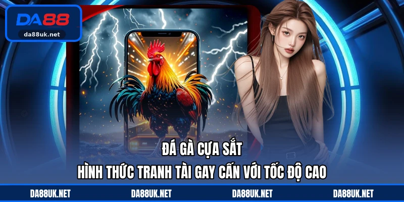 Đá Gà DA88 - Giải Trí Kịch Tính Thu Hút Đông Đảo Người Xem