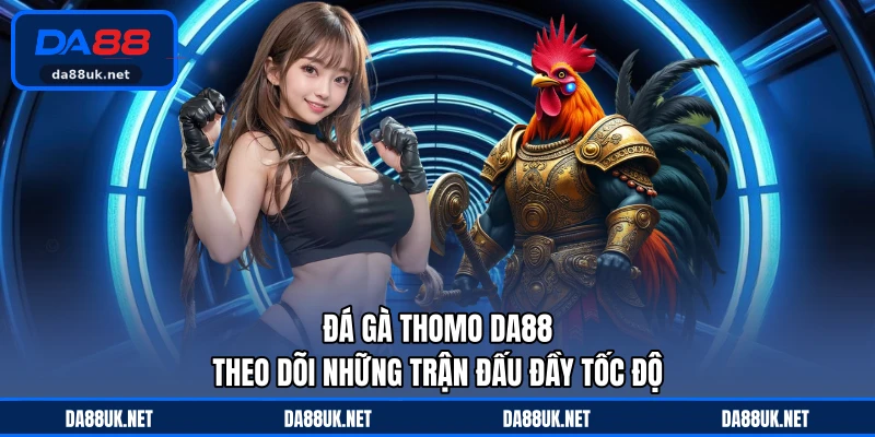 Đá Gà DA88 - Giải Trí Kịch Tính Thu Hút Đông Đảo Người Xem