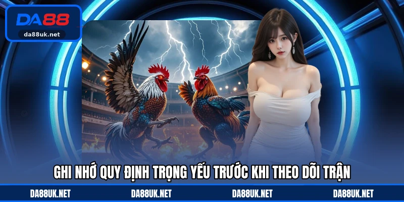 Đá Gà Cựa Sắt - Hình Thức Tranh Tài Gay Cấn Với Tốc Độ Cao