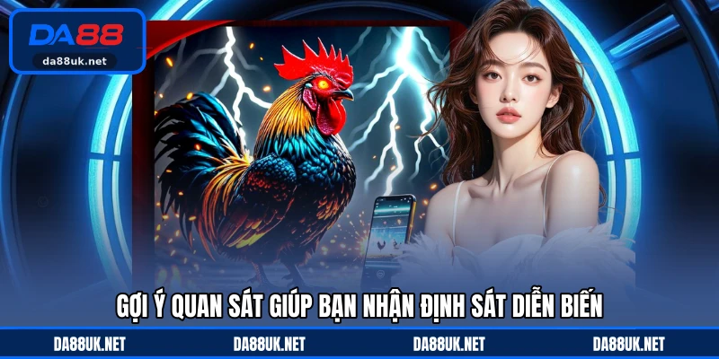Đá Gà Thomo DA88 - Theo Dõi Những Trận Đấu Đầy Tốc Độ