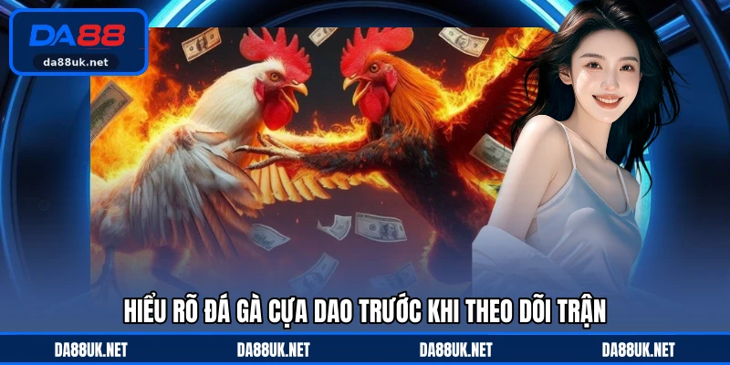 Đá Gà Cựa Dao - Màn So Tài Quyết Liệt, Đậm Tính Đối Khán