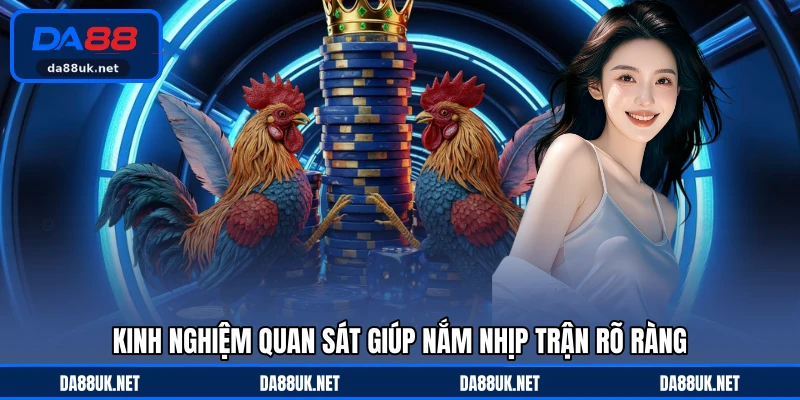 Đá Gà DA88 - Giải Trí Kịch Tính Thu Hút Đông Đảo Người Xem