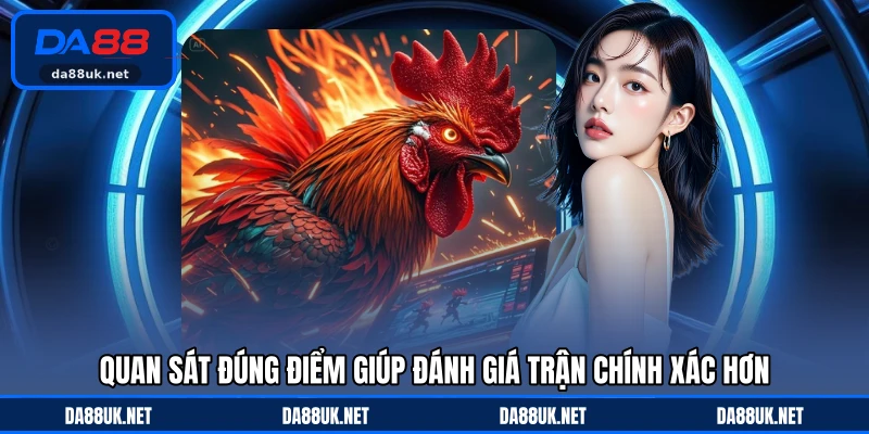 Đá Gà Cựa Sắt - Hình Thức Tranh Tài Gay Cấn Với Tốc Độ Cao