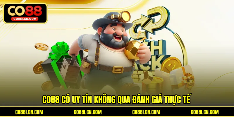 Co88 Có Uy Tín Không - Đánh Giá Chi Tiết Từ Người Chơi Thực Tế