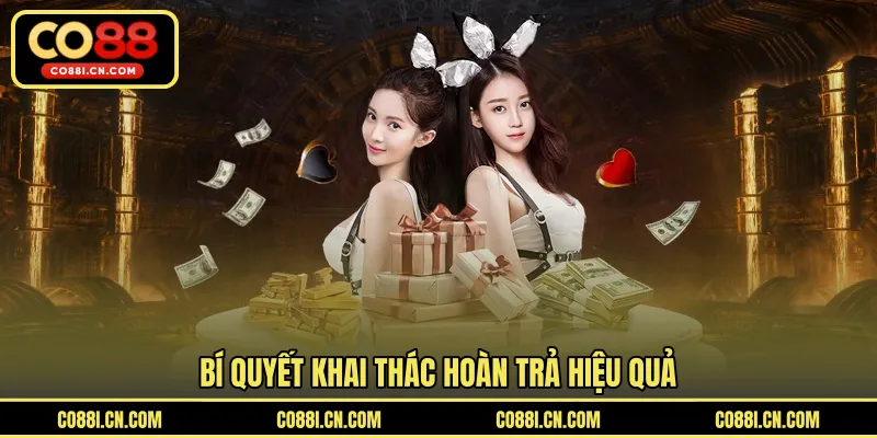 Cashback Thể Thao 1.5% - Nhận Hoàn Trả Từ Mỗi Vé Cược Hợp Lệ